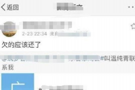 曲沃为什么选择专业追讨公司来处理您的债务纠纷？